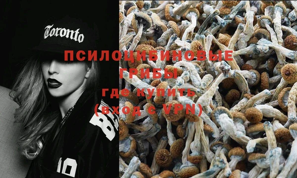 ешки Алексеевка