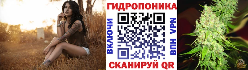 Бошки Шишки AK-47  цены наркотик  Южно-Сухокумск 
